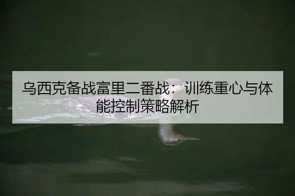 乌西克备战富里二番战：训练重心与体能控制策略解析