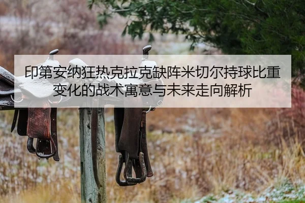 印第安纳狂热克拉克缺阵米切尔持球比重变化的战术寓意与未来走向解析